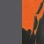Gun Metal Tropical Orange