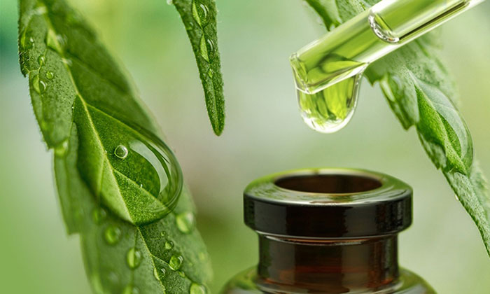 CBD & ECS CBD & ECS