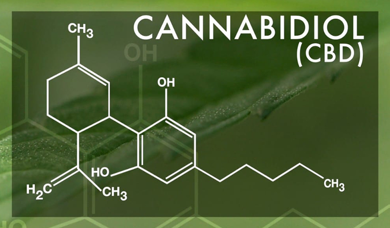 CBD & ECS