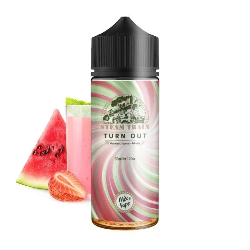 Steam Train Turn Out 24/120ml
