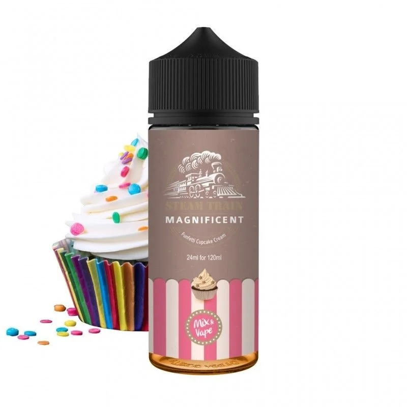 Steam Train Magnificent 24/120ml
