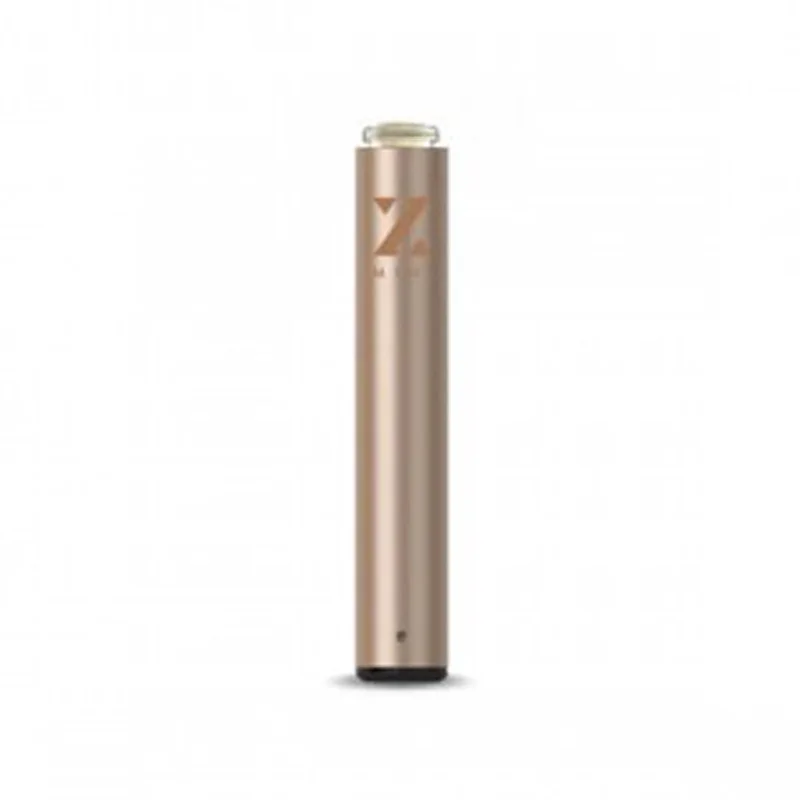 Zeep Mini Spare Battery Champagne
